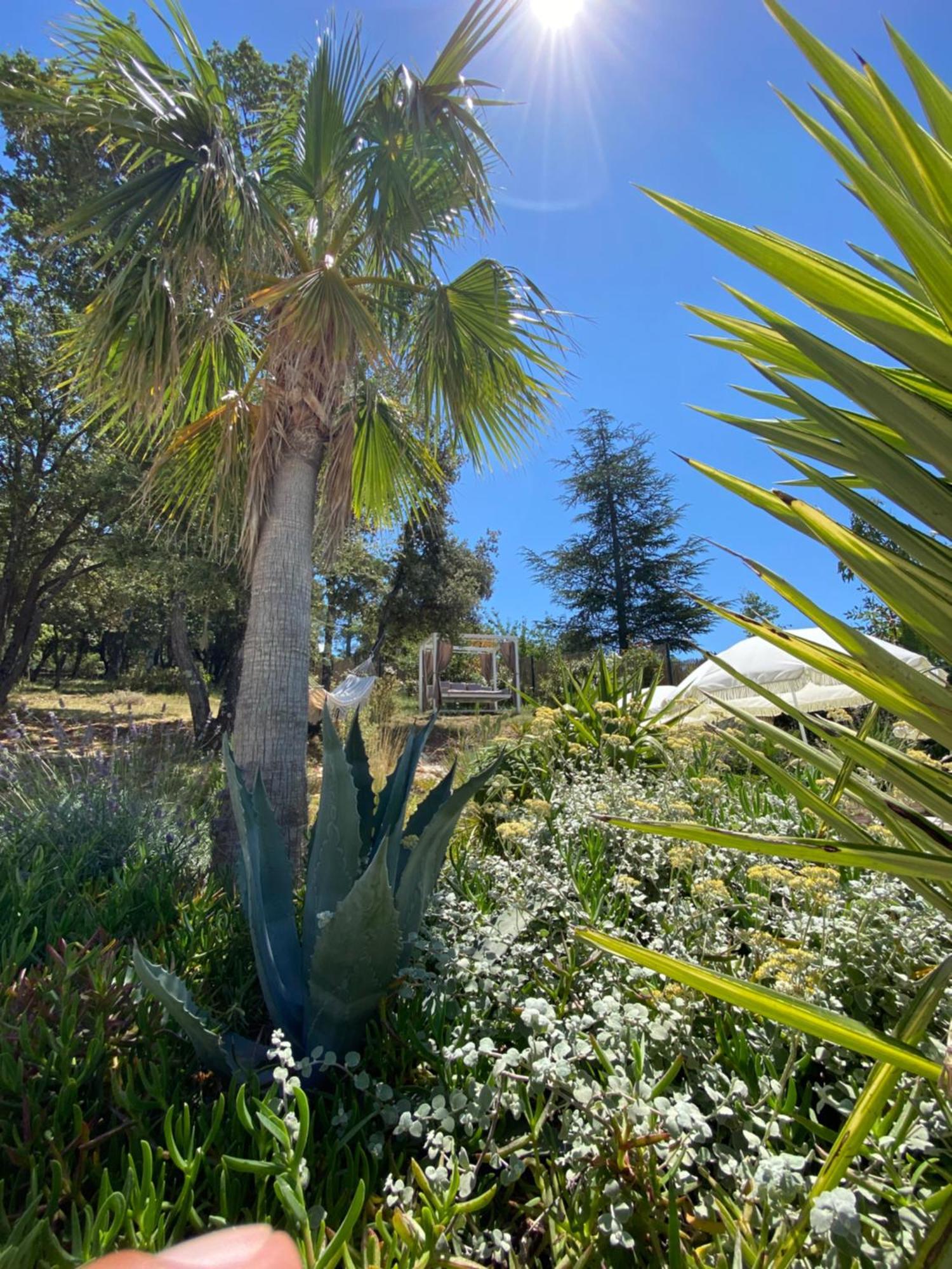 Villa Alba En Provence Besse-sur-Issole Exteriér fotografie