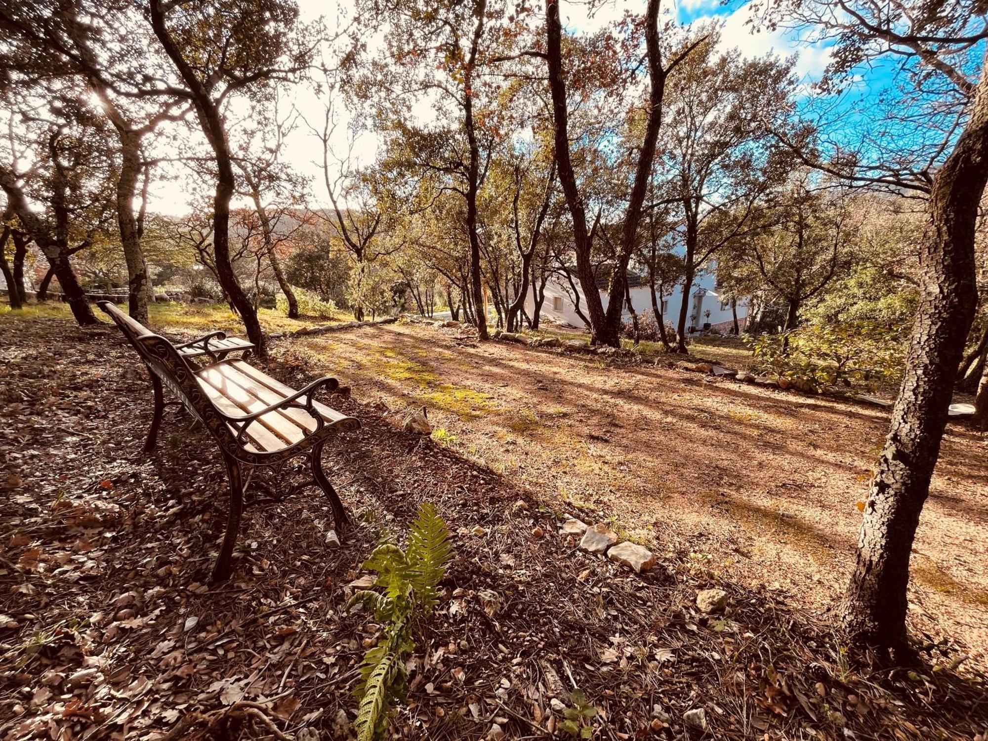 Villa Alba En Provence Besse-sur-Issole Exteriér fotografie